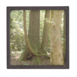 An Awkward Position (Trees) Premium Gift Box