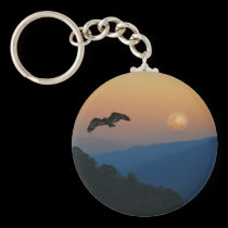 An eagles ascent keychains