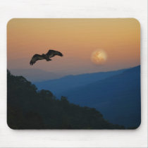 An eagles ascent mouse pad