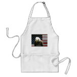 An Eagle's Prayer Apron