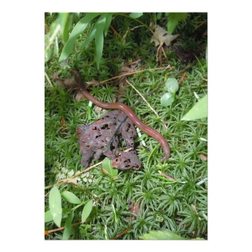 An Earthworm Personalized Invites