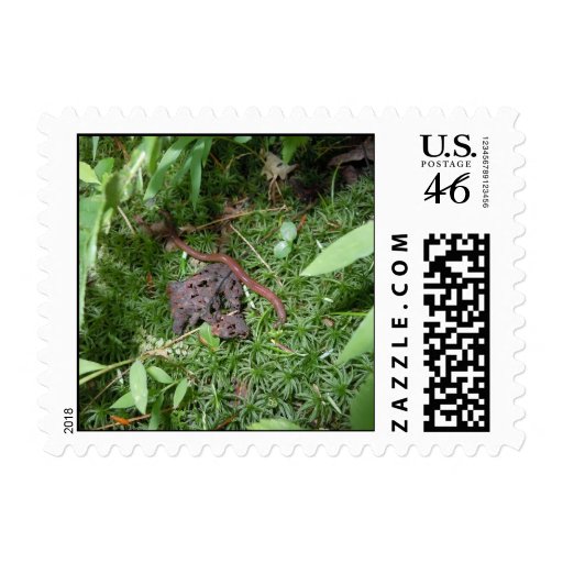 An Earthworm Postage
