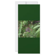An Earthworm Customized Rack Card