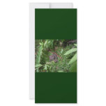 An Earthworm Customized Rack Card