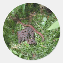 An Earthworm stickers
