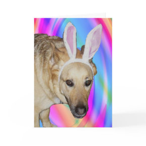 An Easter Bunny? card