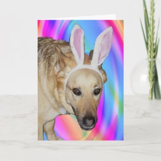 An Easter Bunny? card