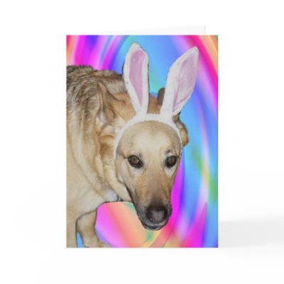 An Easter Bunny? Card by Sandyspider