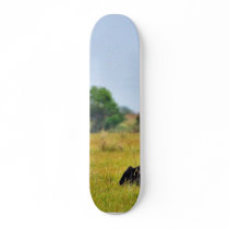 An Egret Riding A Cow skateboards