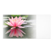 An Enchanting Water Lily in a Pond Customized Photo Card