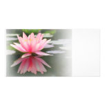 An Enchanting Water Lily in a Pond Customized Photo Card