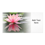 An Enchanting Water Lily in a Pond Personalized Photo Card