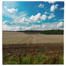 An English Sky Cloth Napkins