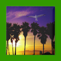 An evening of Love_Magnet
