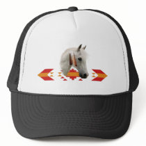 An Indian Pony