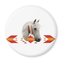 An Indian Pony