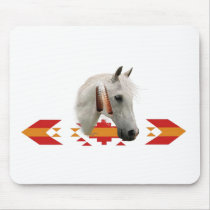 An Indian Pony