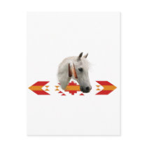 An Indian Pony