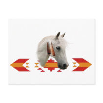 An Indian Pony