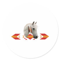 An Indian Pony