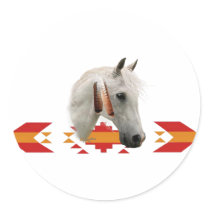 An Indian Pony