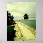 An island. Pernambuco, Brazil Print