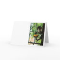 An oil lantern cards by suburbanscenes An oil lantern cards