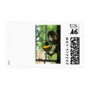 An oil lantern postage by suburbanscenes An oil lantern postage