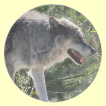 An Omega Wolf Dinner Plate plates