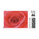 An Open Rose (1) [CUSTOMIZE] postage