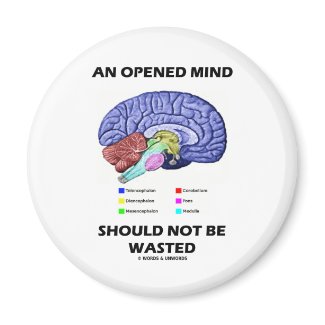 An Opened Mind Should Not Be Wasted (Brain) magnet