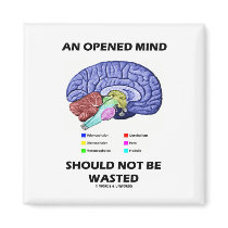 An Opened Mind Should Not Be Wasted (Brain) Fridge Magnets