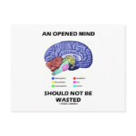 An Opened Mind Should Not Be Wasted (Brain) Postcard