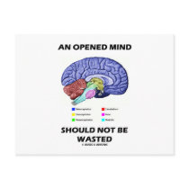 An Opened Mind Should Not Be Wasted (Brain) Postcard
