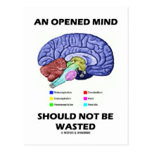 An Opened Mind Should Not Be Wasted (Brain) Post Cards