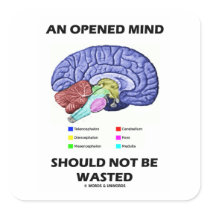 An Opened Mind Should Not Be Wasted (Brain) Square Sticker