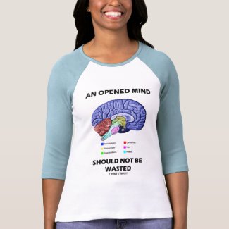 An Opened Mind Should Not Be Wasted (Brain) shirt