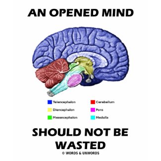 An Opened Mind Should Not Be Wasted (Brain) shirt