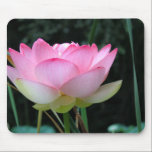 An Opening Lotus mousepads