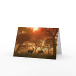 An Ordinary Vue Greeting Cards
