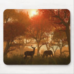 An Ordinary Vue mousepads