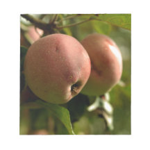an organic apple memo pads