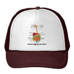 An Outline Of My Guts (Digestive System Humor) Trucker Hat