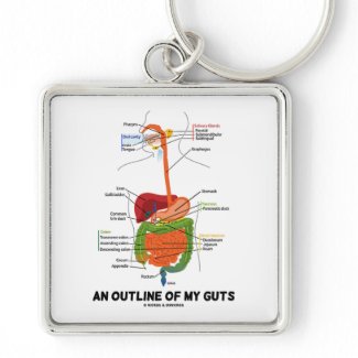 An Outline Of My Guts (Digestive System Humor) Key Chain