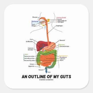 An Outline Of My Guts (Digestive System Humor) Square Stickers