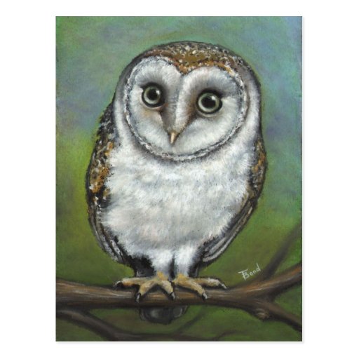 An owl friend by Tanya Bond Post Card