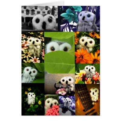 An Owl Named Ophelia Greeting Cards by Heartworks