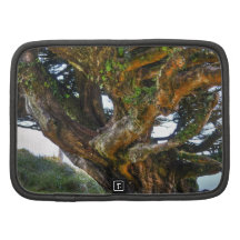 An Upside Down Tree Planners