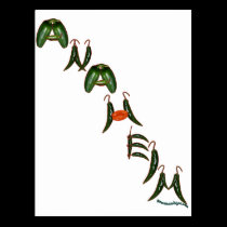 Anaheim Chili Peppers postcards
