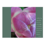 Anais Nin Quote Post Cards